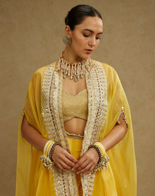 Sva By Sonam And Paras Modi Yellow Metal Embellished Bustier, Organza Cape And Skirt Set available on indiaspopup
