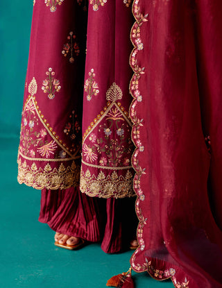 Aman Takyar-Wine Purple Floral Embroidered Anarkali Set-INDIASPOPUP.COM