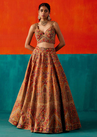 Aman Takyar-Dull Orange Embroidered Lehenga Set-INDIASPOPUP.COM