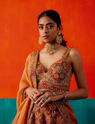 Aman Takyar-Dull Orange Embroidered Lehenga Set-INDIASPOPUP.COM