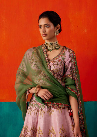 Aman Takyar-Light Rose Embroidered Lehenga Set-INDIASPOPUP.COM