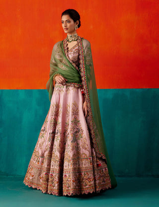 Aman Takyar-Light Rose Embroidered Lehenga Set-INDIASPOPUP.COM