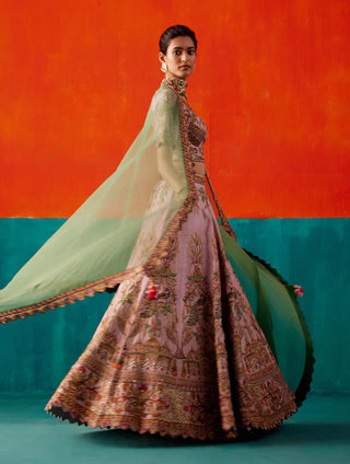 Aman Takyar-Light Rose Embroidered Lehenga Set-INDIASPOPUP.COM