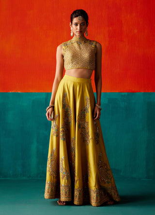 Aman Takyar-Lime Green Embroidered Sharara Set-INDIASPOPUP.COM