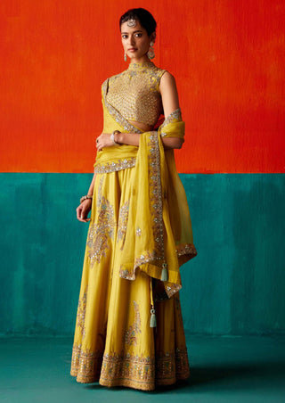 Aman Takyar-Lime Green Embroidered Sharara Set-INDIASPOPUP.COM