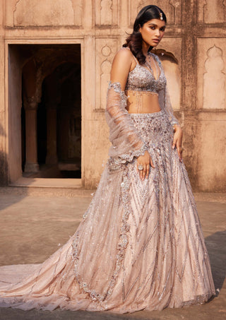 Dolly J-Phaenna Shimmer Tulle Lehenga Set-INDIASPOPUP.COM