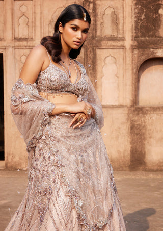 Dolly J-Phaenna Shimmer Tulle Lehenga Set-INDIASPOPUP.COM