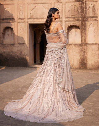 Dolly J-Phaenna Shimmer Tulle Lehenga Set-INDIASPOPUP.COM