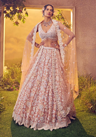Aneesh Agarwaal-Pale Blush Embroidered Lehenga Set-INDIASPOPUP.COM