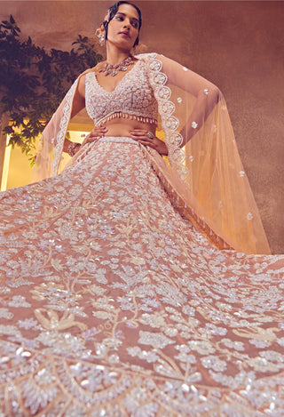 Aneesh Agarwaal-Pale Blush Embroidered Lehenga Set-INDIASPOPUP.COM