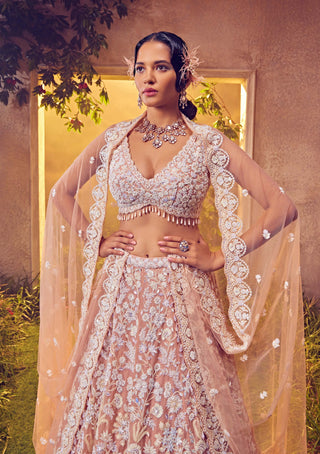 Aneesh Agarwaal-Pale Blush Embroidered Lehenga Set-INDIASPOPUP.COM