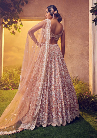 Aneesh Agarwaal-Pale Blush Embroidered Lehenga Set-INDIASPOPUP.COM