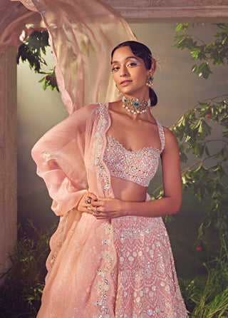Aneesh Agarwaal-Orchid Pink Organza Lehenga Set-INDIASPOPUP.COM
