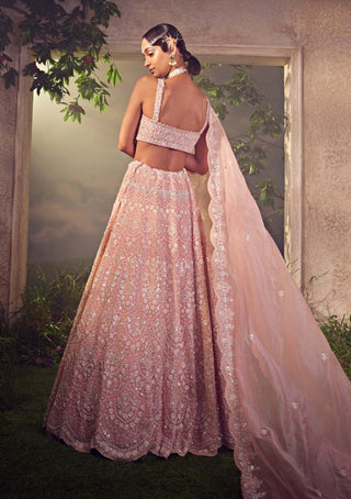 Aneesh Agarwaal-Orchid Pink Organza Lehenga Set-INDIASPOPUP.COM