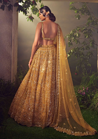 Aneesh Agarwaal-Amber Gold Embroidered Lehenga Set-INDIASPOPUP.COM