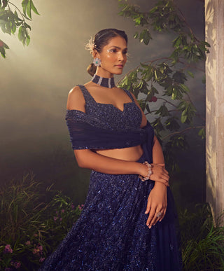 Aneesh Agarwaal-Midnight Blue Embroidered Lehenga Set-INDIASPOPUP.COM