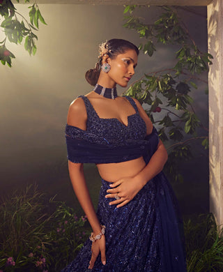 Aneesh Agarwaal-Midnight Blue Embroidered Lehenga Set-INDIASPOPUP.COM