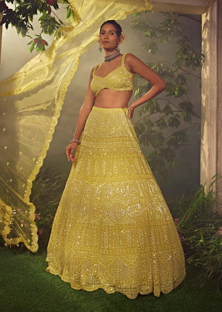 Aneesh Agarwaal-Lime Green Embroidered Lehenga Set-INDIASPOPUP.COM