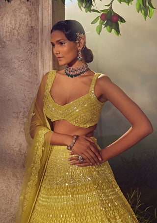 Aneesh Agarwaal-Lime Green Embroidered Lehenga Set-INDIASPOPUP.COM