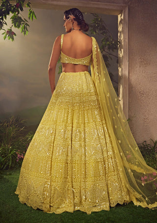 Aneesh Agarwaal-Lime Green Embroidered Lehenga Set-INDIASPOPUP.COM