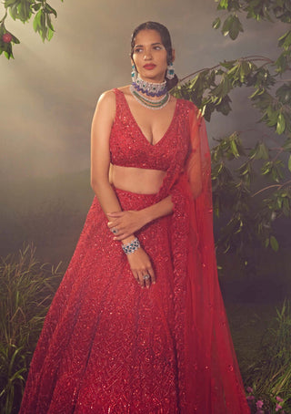 Aneesh Agarwaal-True Red Tulle Embroidered Lehenga Set-INDIASPOPUP.COM