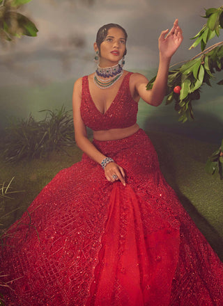 Aneesh Agarwaal-True Red Tulle Embroidered Lehenga Set-INDIASPOPUP.COM