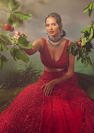 Aneesh Agarwaal-True Red Tulle Embroidered Lehenga Set-INDIASPOPUP.COM