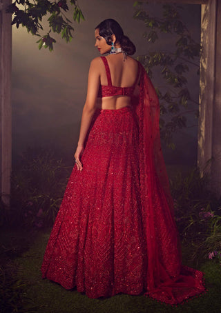 Aneesh Agarwaal-True Red Tulle Embroidered Lehenga Set-INDIASPOPUP.COM