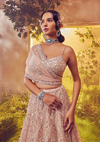 Aneesh Agarwaal-Salmon Organza Embroidered Lehenga Set-INDIASPOPUP.COM