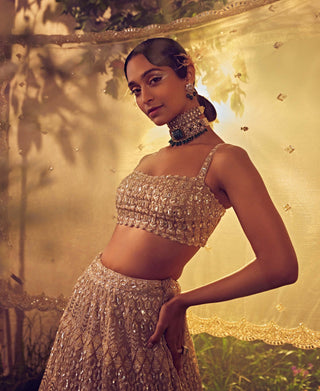 Aneesh Agarwaal-Taupe Organza Embroidered Lehenga Set-INDIASPOPUP.COM