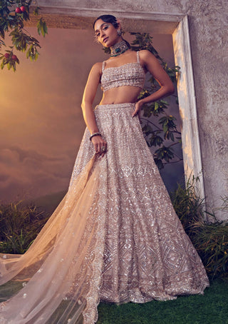 Aneesh Agarwaal-Taupe Organza Embroidered Lehenga Set-INDIASPOPUP.COM