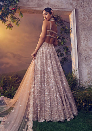 Aneesh Agarwaal-Taupe Organza Embroidered Lehenga Set-INDIASPOPUP.COM