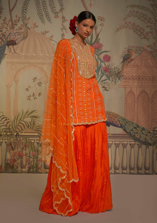 Aayushi Maniar-Tangerine Patola Tunic Gharara Set-INDIASPOPUP.COM