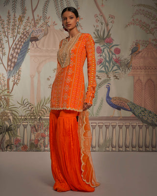 Aayushi Maniar-Tangerine Patola Tunic Gharara Set-INDIASPOPUP.COM