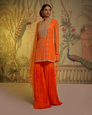 Aayushi Maniar-Tangerine Patola Tunic Gharara Set-INDIASPOPUP.COM