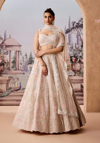 Pink Heritage Pattern Lehenga Set by Aneesh Agarwaal available on Indiaspopup.com