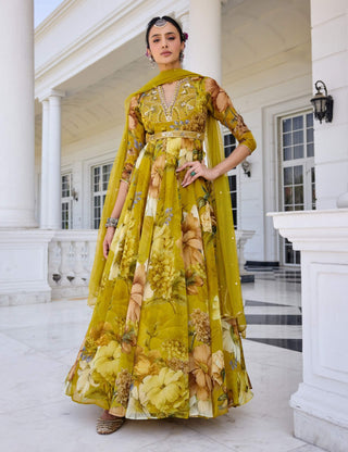 Mehr mustard yellow anarkali and dupatta