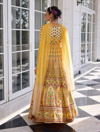 Nehmat yellow anarkali and dupatta