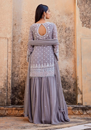 Amitabh Malhotra-Glacier Grey Embellished Tunic And Skirt Set-INDIASPOPUP.COM