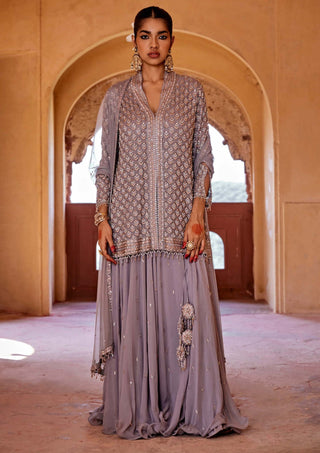 Amitabh Malhotra-Ash Grey Embellished Tunic And Sharara Set-INDIASPOPUP.COM