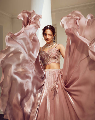 Amitabh Malhotra-Icy Pink Embellished Lehenga Set-INDIASPOPUP.COM