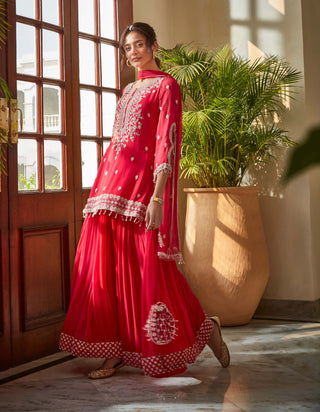 Amitabh Malhotra-Fuchsia Pink Embellished Sharara Set-INDIASPOPUP.COM