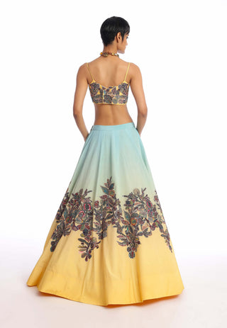 Aisha Rao-Twin Flame Turquoise Yellow Lehenga And Blouse-INDIASPOPUP.COM