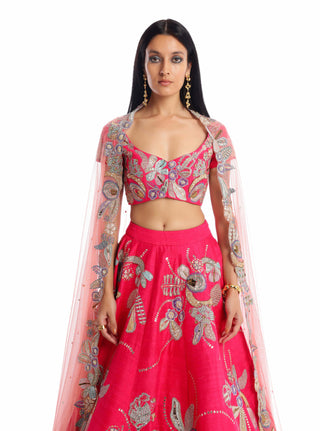 Aisha Rao-Carmine Pink Lehenga Set-INDIASPOPUP.COM