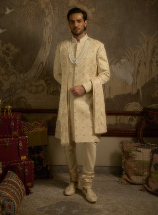 Noorjah champagne gold sherwani set