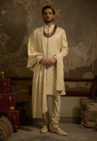 Noorjah champagne gold sherwani set