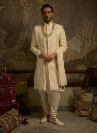 Zarbagh champagne gold sherwani set