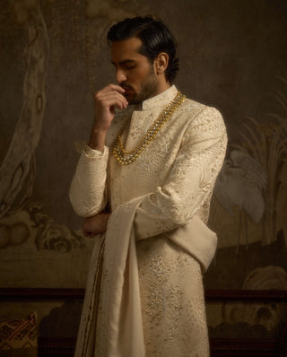 Zarbagh champagne gold sherwani set