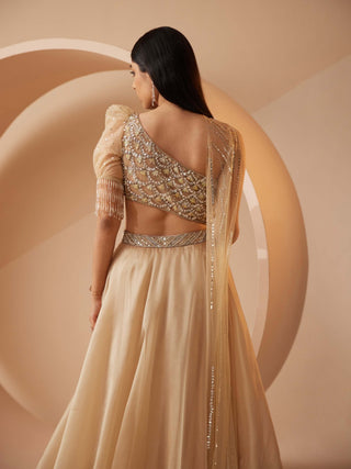 Roqa-Abira Gold Lehenga Set-INDIASPOPUP.COM