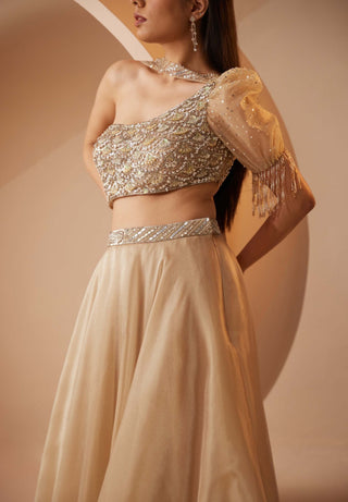 Roqa-Abira Gold Lehenga Set-INDIASPOPUP.COM